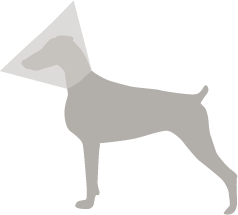 Illustration for article titled How to Avoid the Cone of Shame for Dogs Post Surgery
